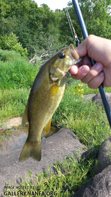 8/20/15 Broad River, SC