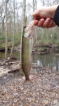 12/7/15 (Congaree River Basin), SC