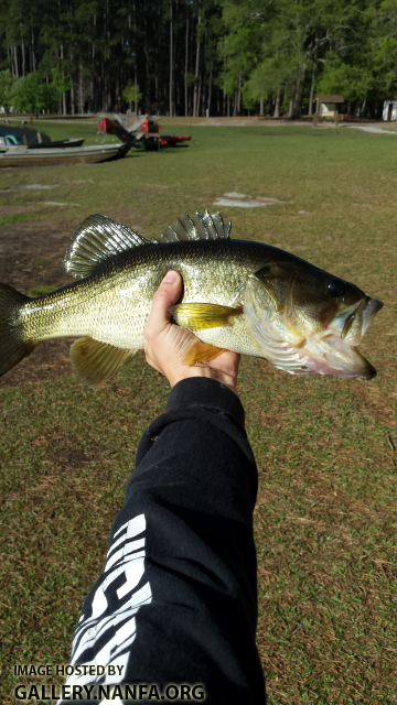 4/5/16 (Congaree River Basin), SC