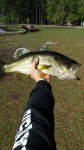 4/5/16 (Congaree River Basin), SC