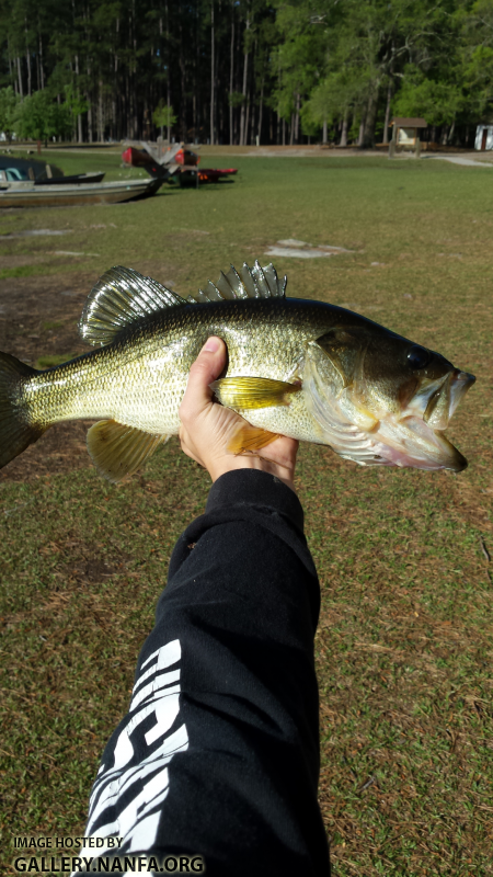 4/5/16 (Congaree River Basin), SC