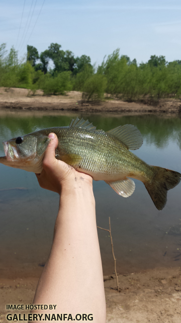 4/20/16 Congaree River, SC