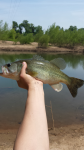 4/20/16 Congaree River, SC