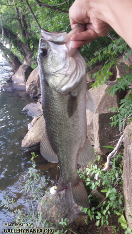 6/22/16 Broad River, Columbia, SC