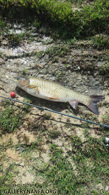 9/18/16 (Lower Saluda River Basin), SC