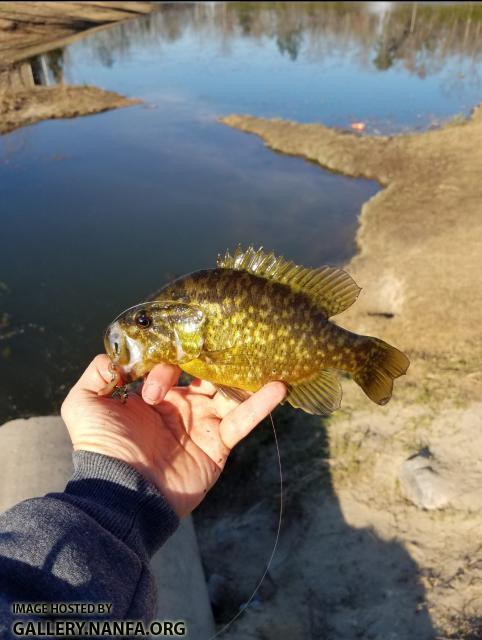 2/1/17 (Lower Saluda River Basin), SC