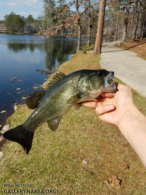 2/23/17 (Lower Saluda River Basin), NC