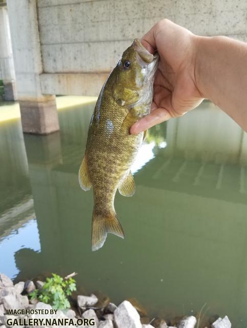 6/15/17 Columbia Canal, SC