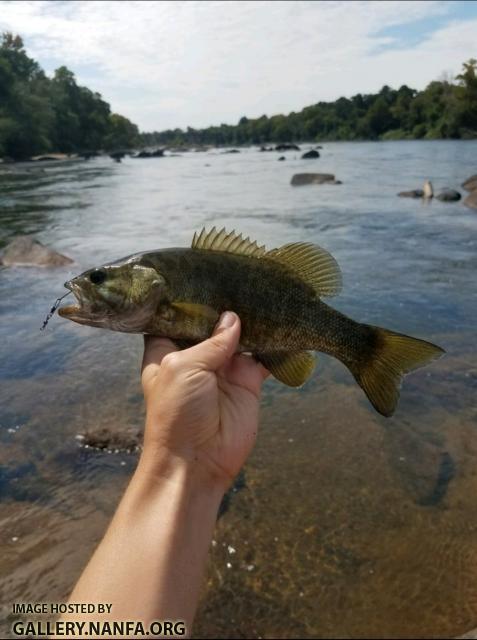 9/2/17 Congaree River, SC