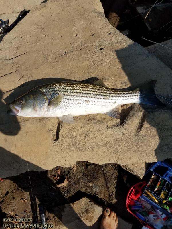 9/29/17 Congaree River, SC