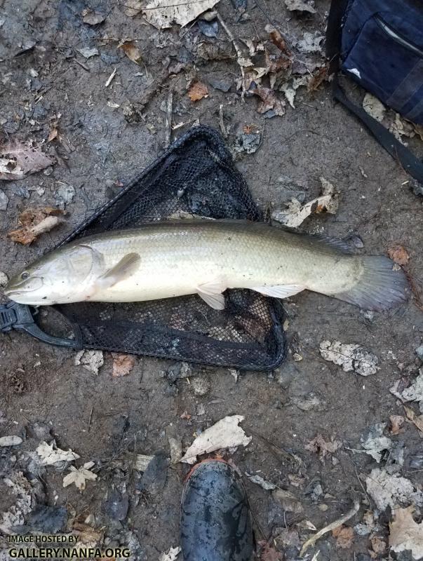 10/4/17 Congaree National Park, SC