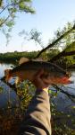 4/24/16 Congaree River, SC