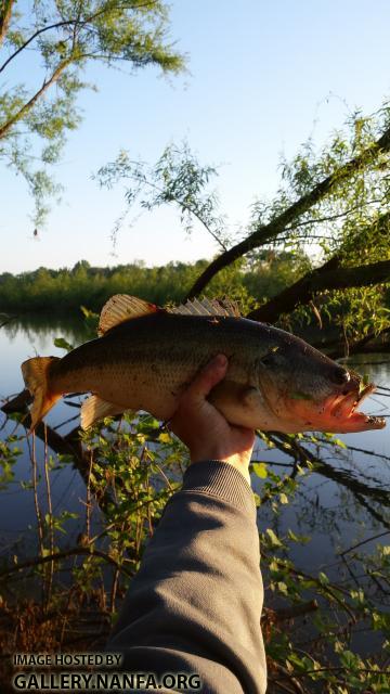 4/24/16 Congaree River, SC