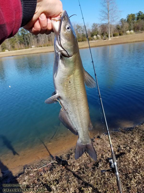 12/14/17 (Lower Saluda River Basin), SC