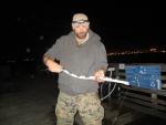 Bluespotted Cornetfish (12)