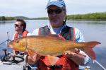 River Redhorse (Moxostoma carinatum)