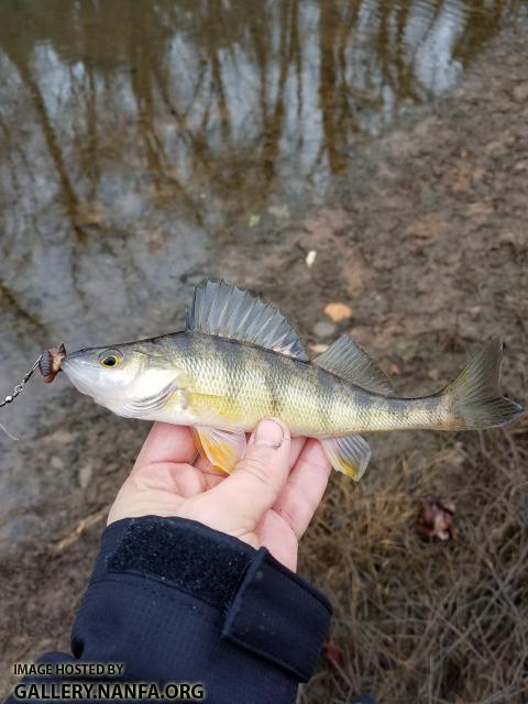 1/28/18 Congaree River, SC