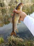 2/8/18 (Congaree River Basin), SC