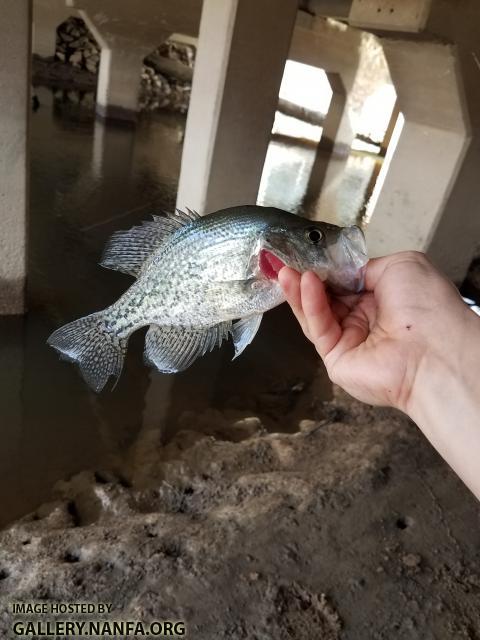 2/15/18 (Congaree River Basin), SC