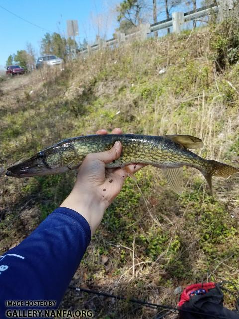 3/22/18 (Edisto River Basin), SC