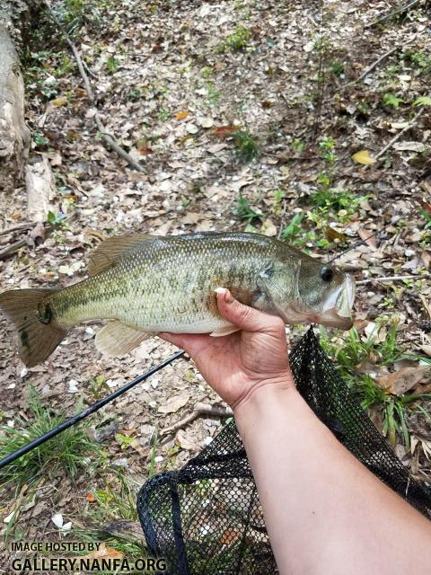 4/4/18 (Lower Saluda River Basin), SC