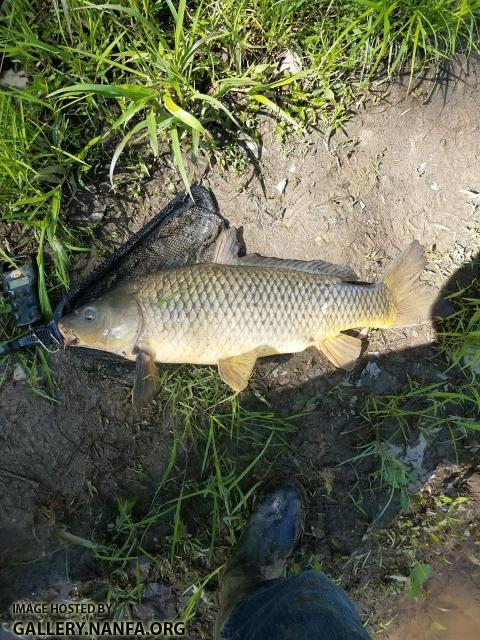 4/17/18 (Congaree River Basin), SC