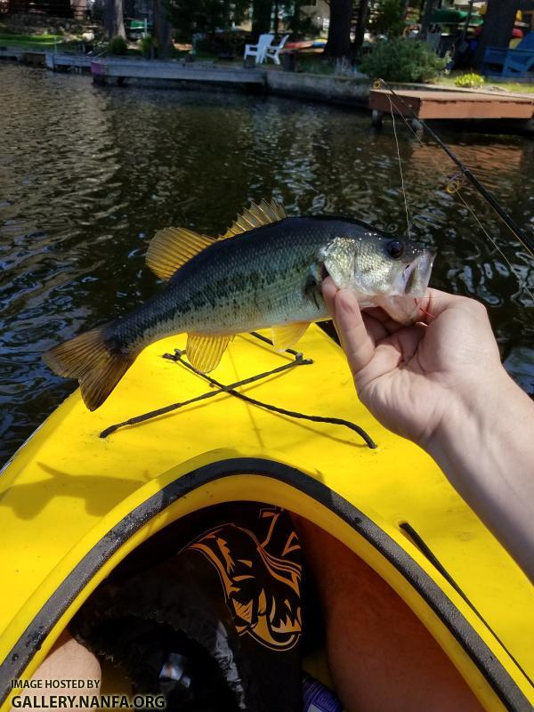 5/2/18 (Pequonnock River Basin), CT