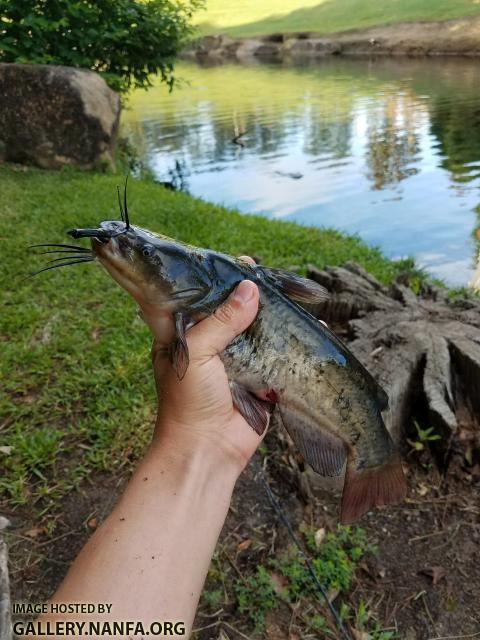 5/24/18 (Broad River Basin), SC