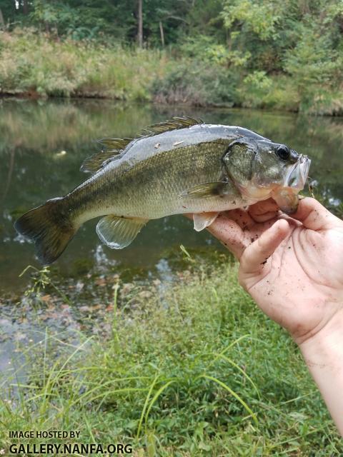 10/1/18 (Yadkin River Basin), NC