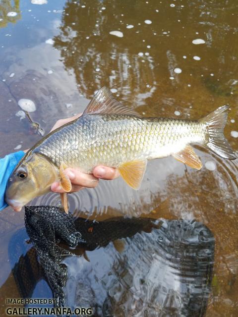 10/2/18 Eno River, NC