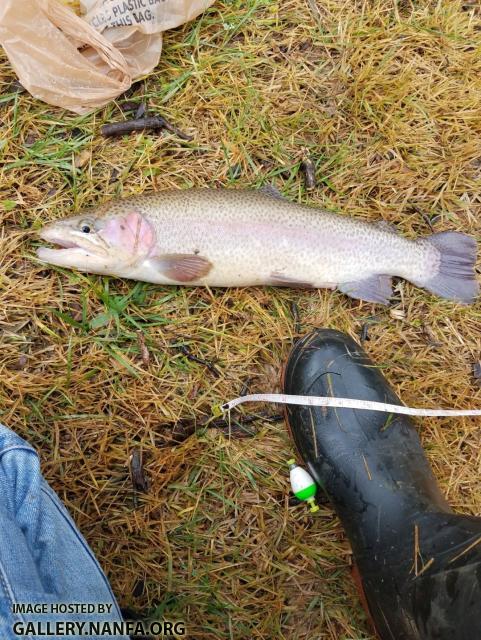 12/21/18 (Yadkin River Basin), NC