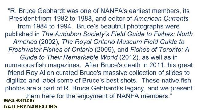 Gebhardt bio