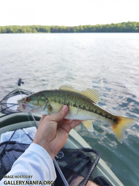 4/28/19 Mountain Isle Lake, NC