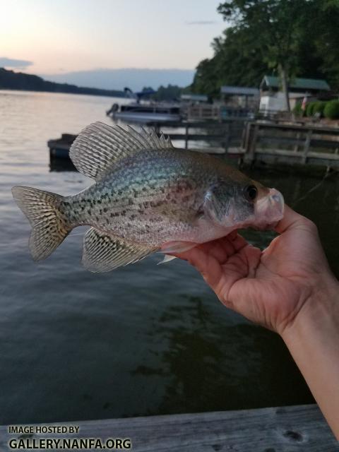 5/15/19 High Rock Lake, NC