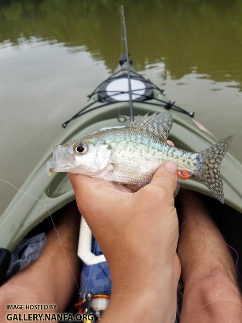 5/22/19 Yadkin River Basin, NC