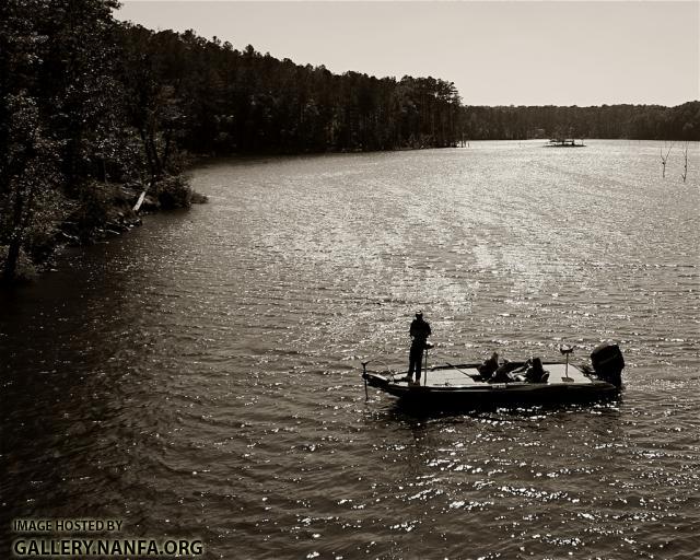 Late Afternoon at Falls Lake