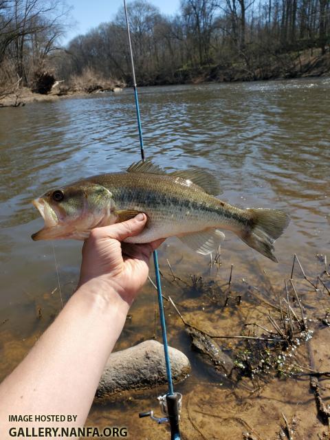 3/12/20 Deep River, NC