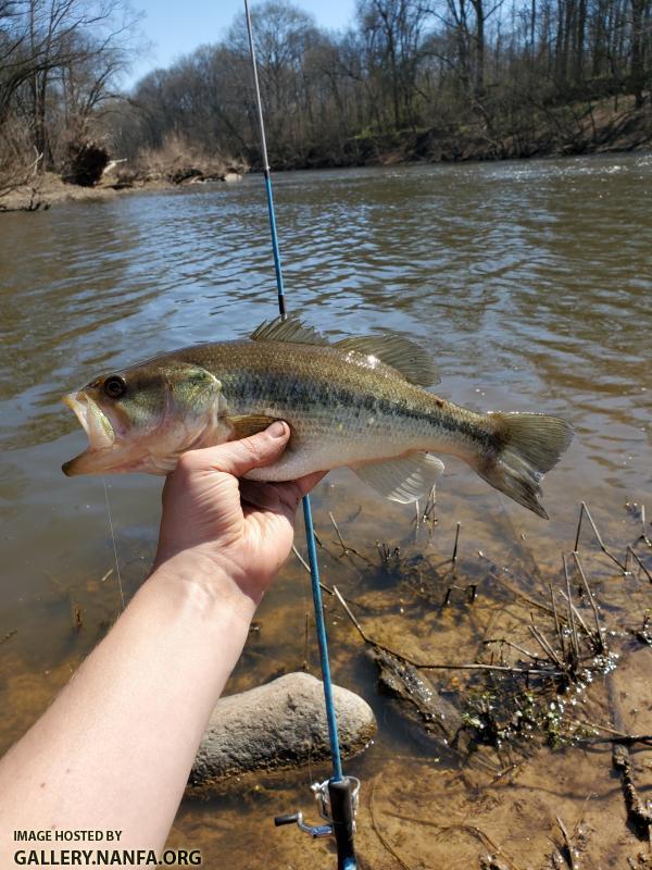 3/12/20 Deep River, NC