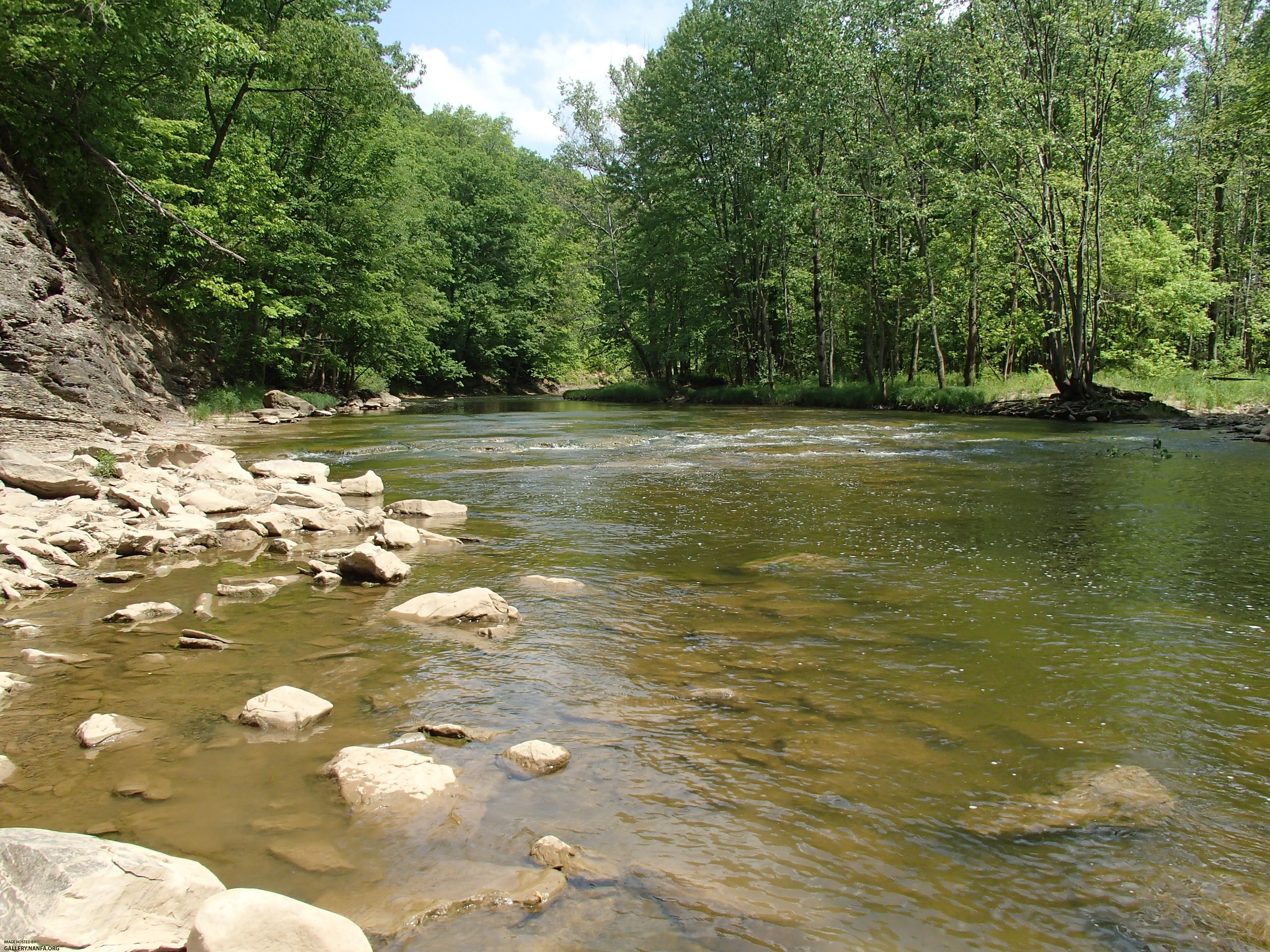 Vermilion River