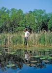 Bowfin Spawning Habitat