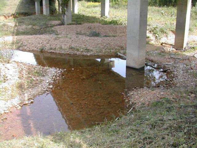 Cedar Creek, Isolated Pool