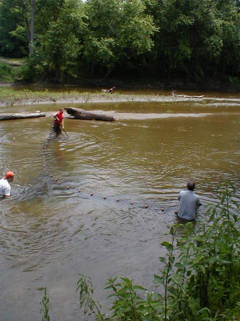 bag-seine-2.jpg