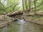 Logjam near Catawba