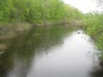 Banded_Redfin_Hunt_Northboro 002.JPG