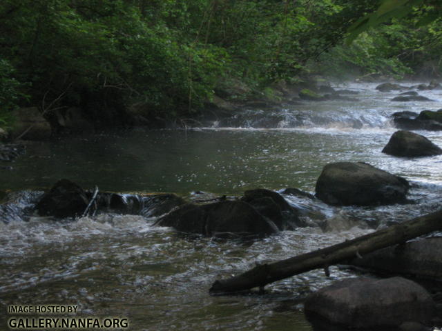 Owen_Ware_River_Southbridge 047.JPG