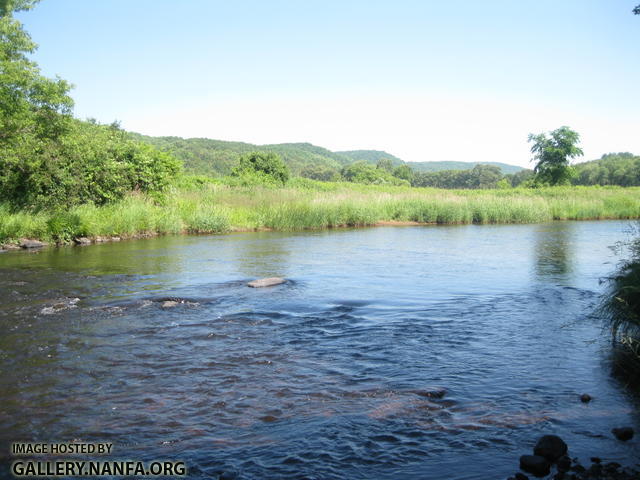 Owen_Ware_River_Southbridge 083.JPG