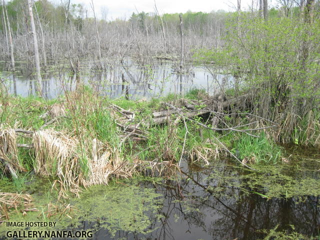 Fishing_Netting_ 119.jpg