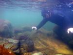 Snorkelmeister