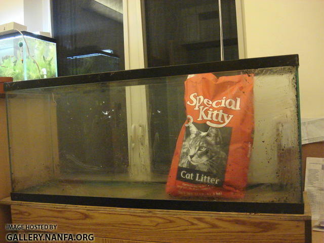 5 special kitty brand litter