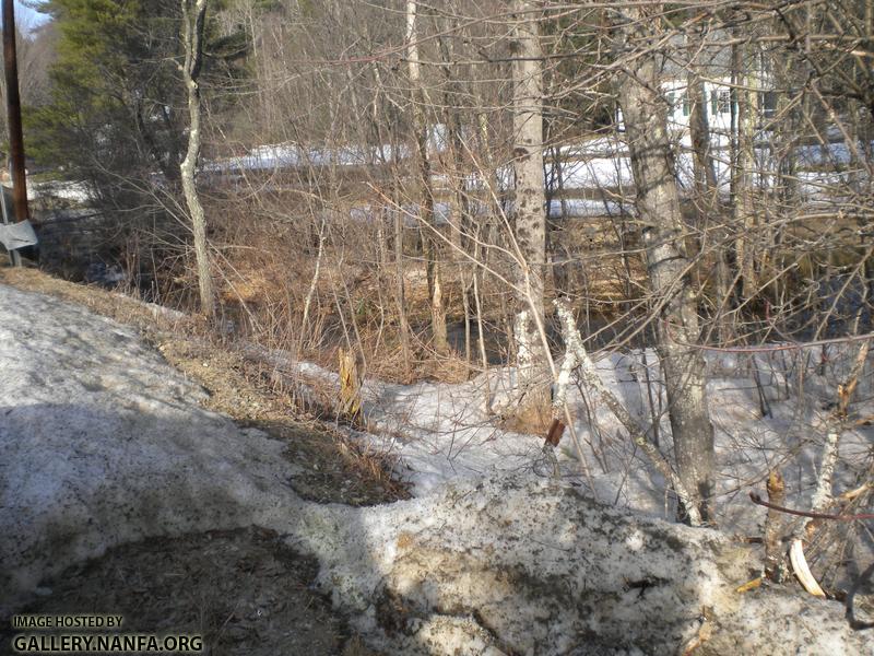 snowy stream